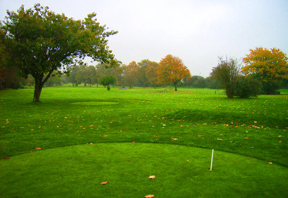 playing golf in the wind