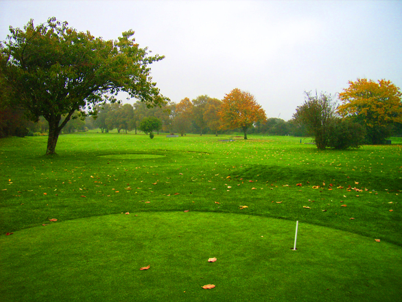 playing golf in the wind