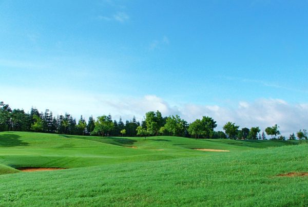 playing golf in hot conditions