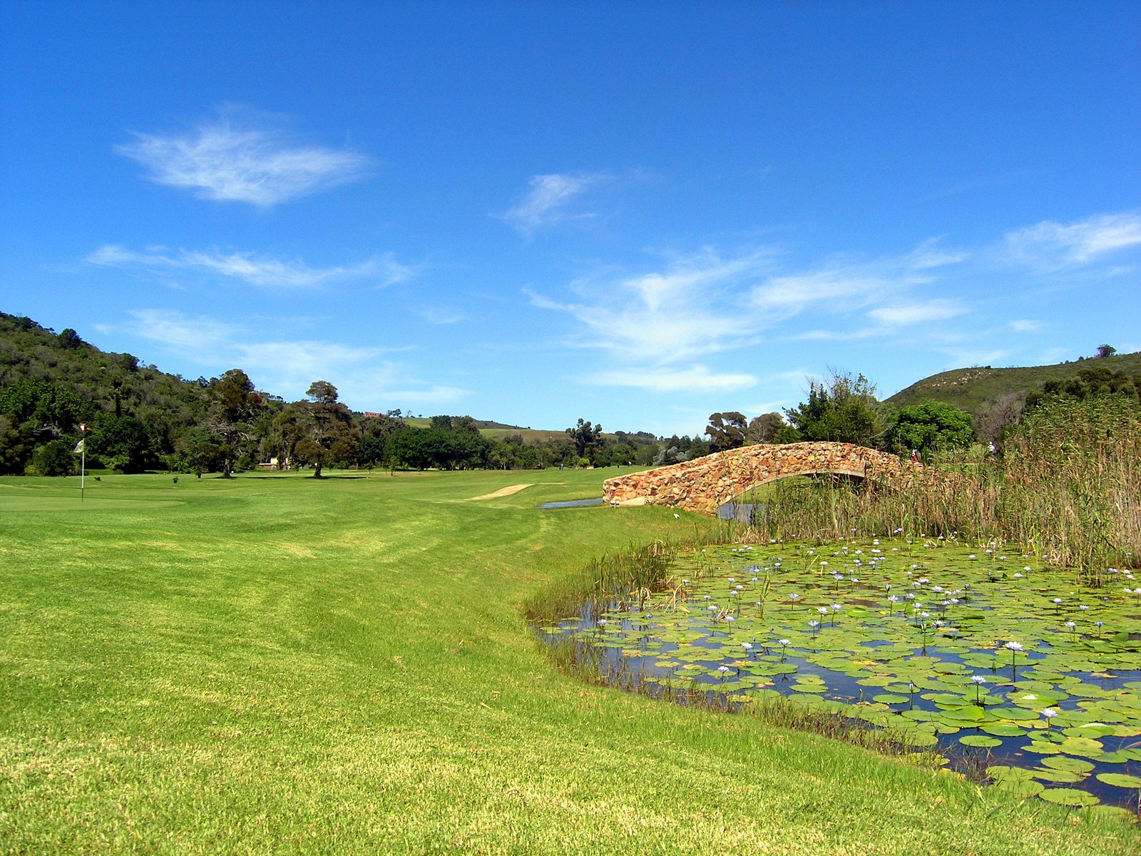 new golf course