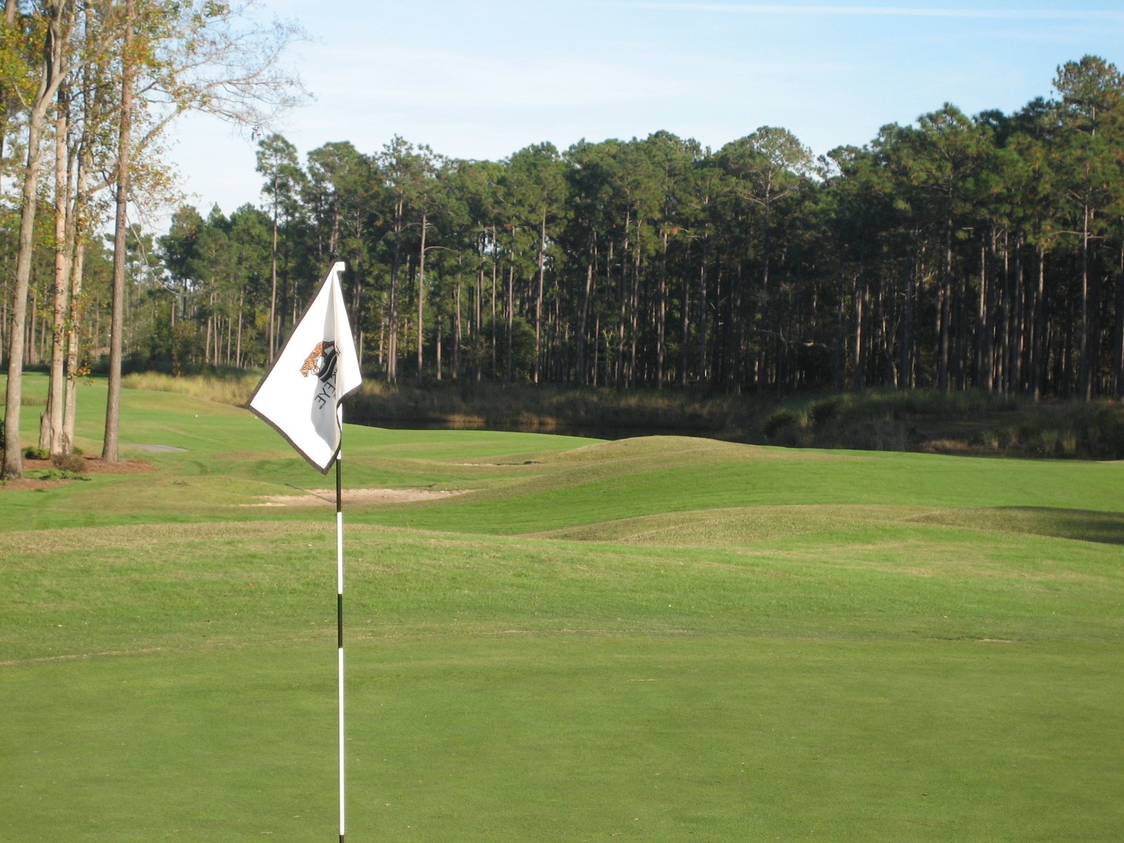 playing the pitch shot