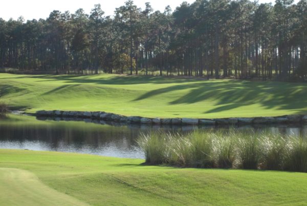 playing a par 3 over water