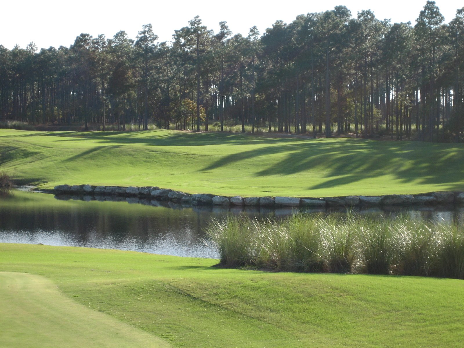 playing a par 3 over water