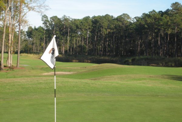 chipping drills