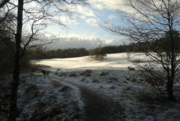 golf practice winter