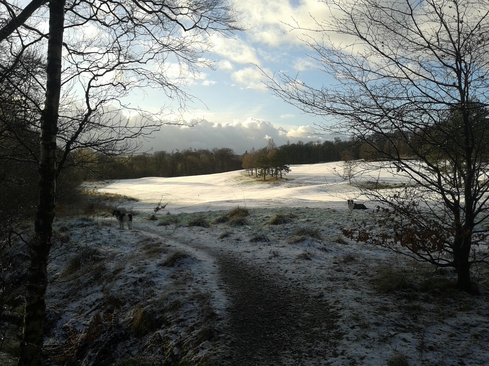 golf practice winter